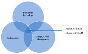 Blockchain and Sustainable Supply Chains
