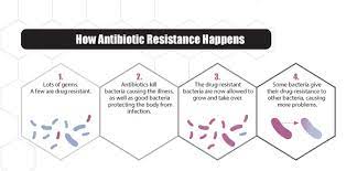 The Growing Concern of Antibiotic Resistance