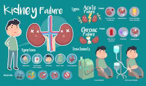 Understanding and Preventing Kidney Cancer