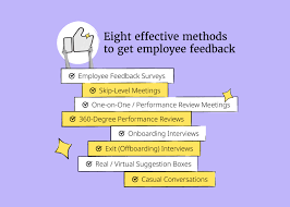 Effective Strategies for Employee Feedback and Surveys