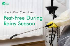 Seasonal Pest Control: Keeping Your Home Bug-Free