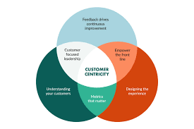 Strategies for Building Customer-Driven Product Development